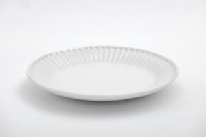 Biodegradable, high-quality disposable plates