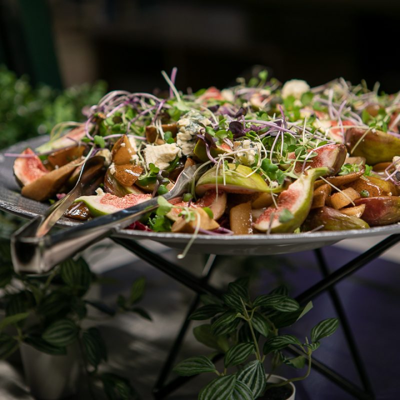 Dylan-and-Friends-LR-4503